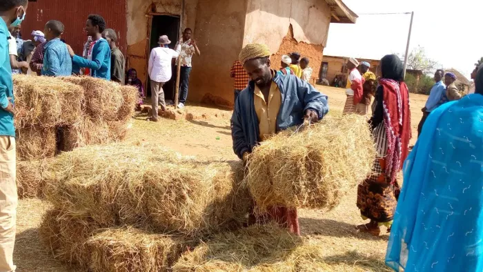 Borana Drought Response