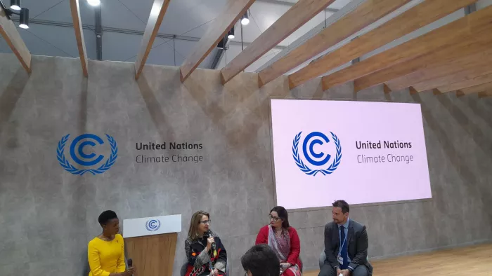 cop27 panel discussion