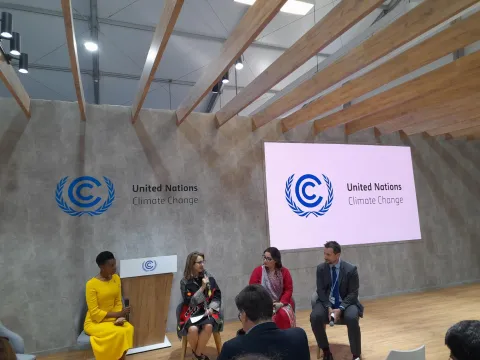 cop27 panel discussion