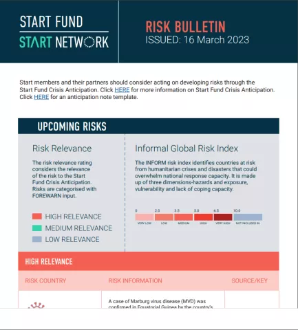 risk brief cover
