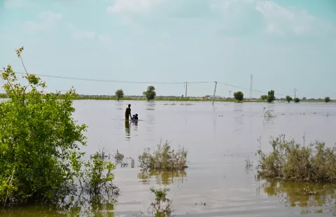 Flooded field