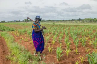 a woman laughs as she works on her field in Zimbabwe