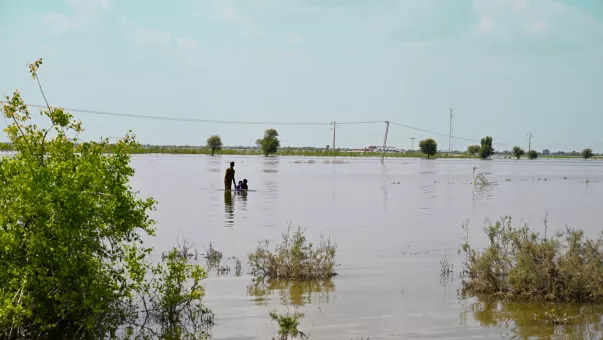 Flooded field