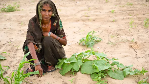 A woman sitting in the desert